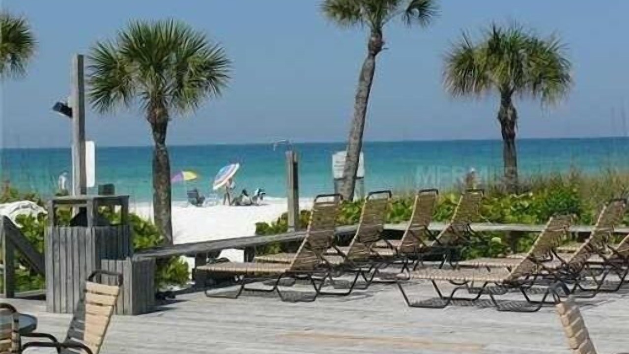 Photo of Others in Siesta Key