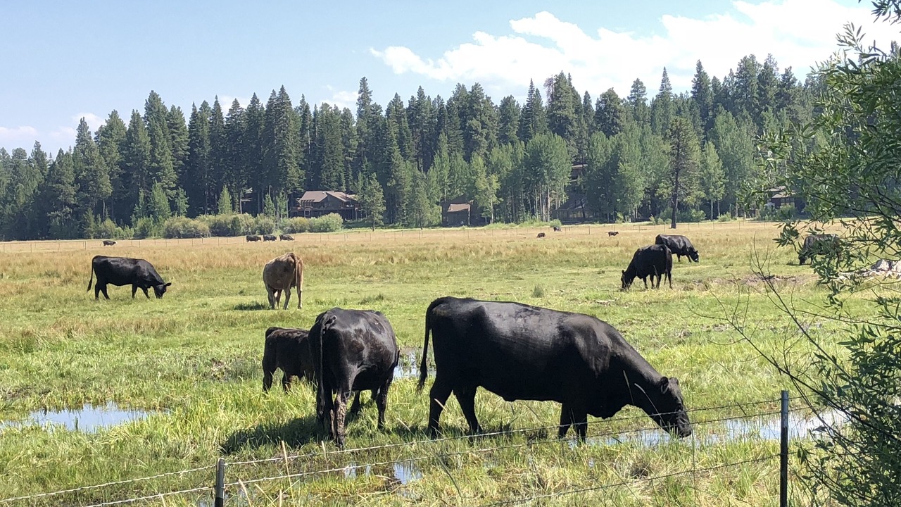 Photo of Outdoor in Black Butte Ranch
