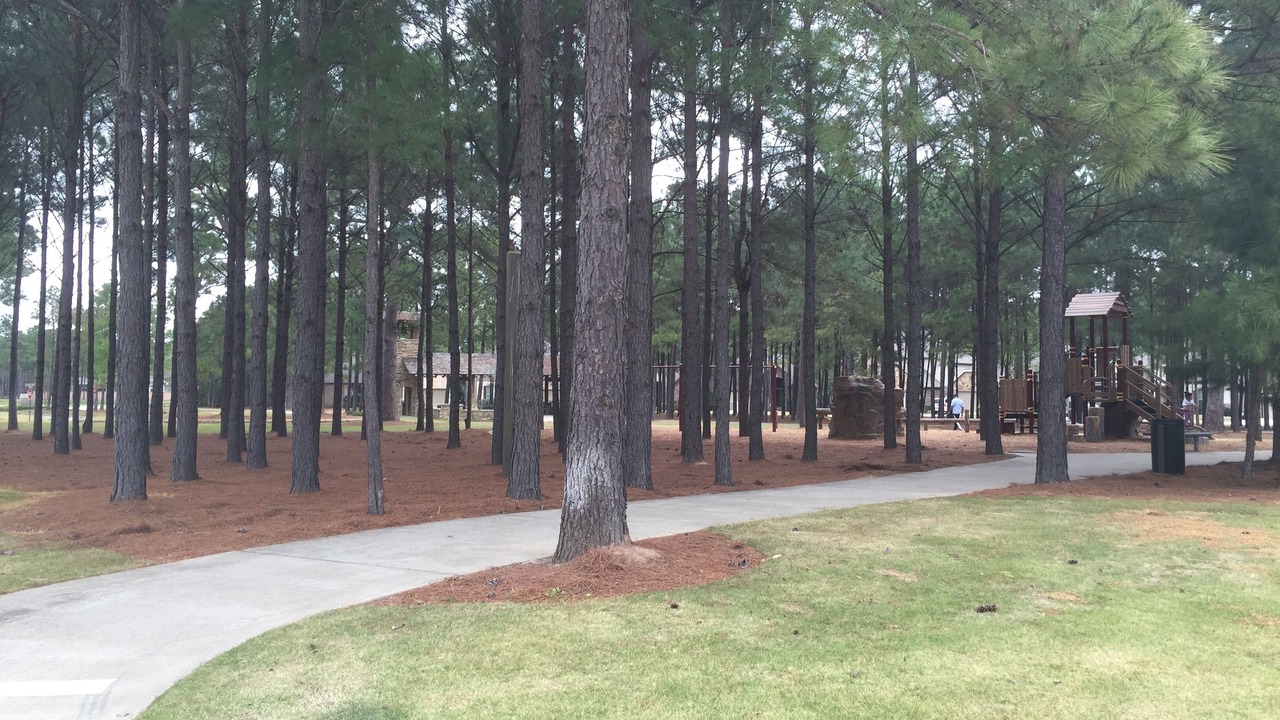 Photo of Outdoor in Spring