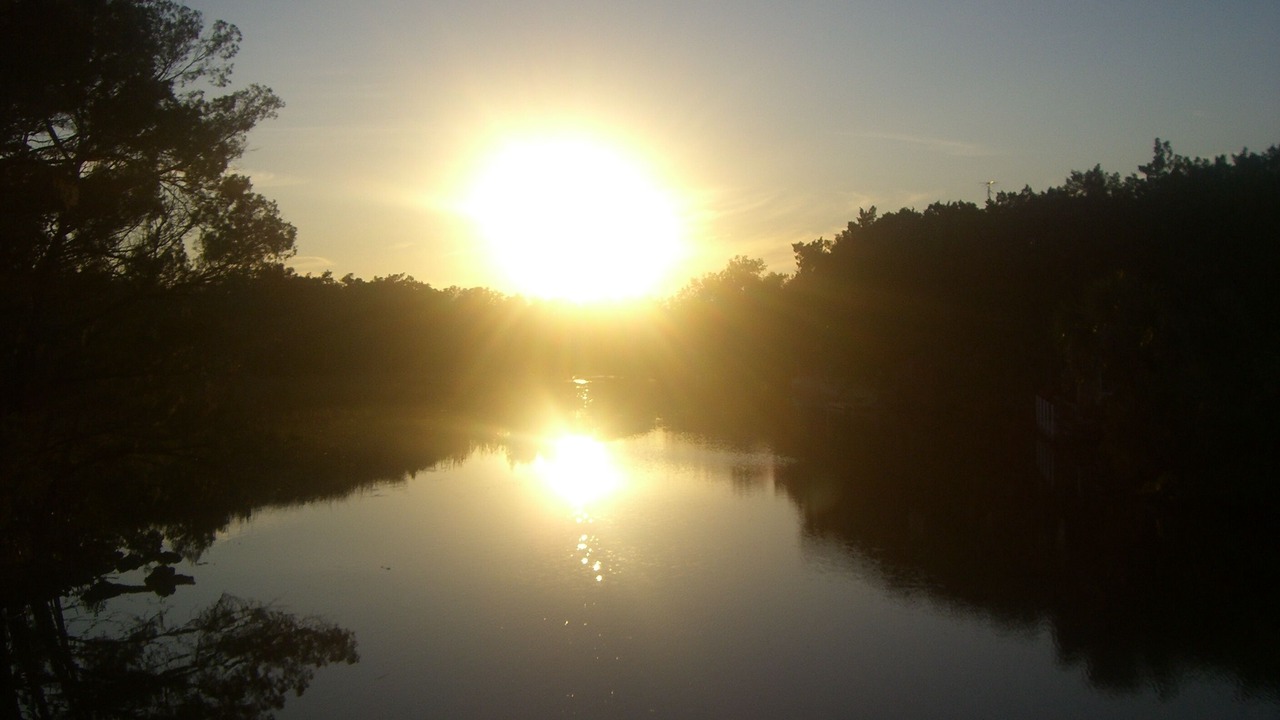 Photo of Others in Old Homosassa