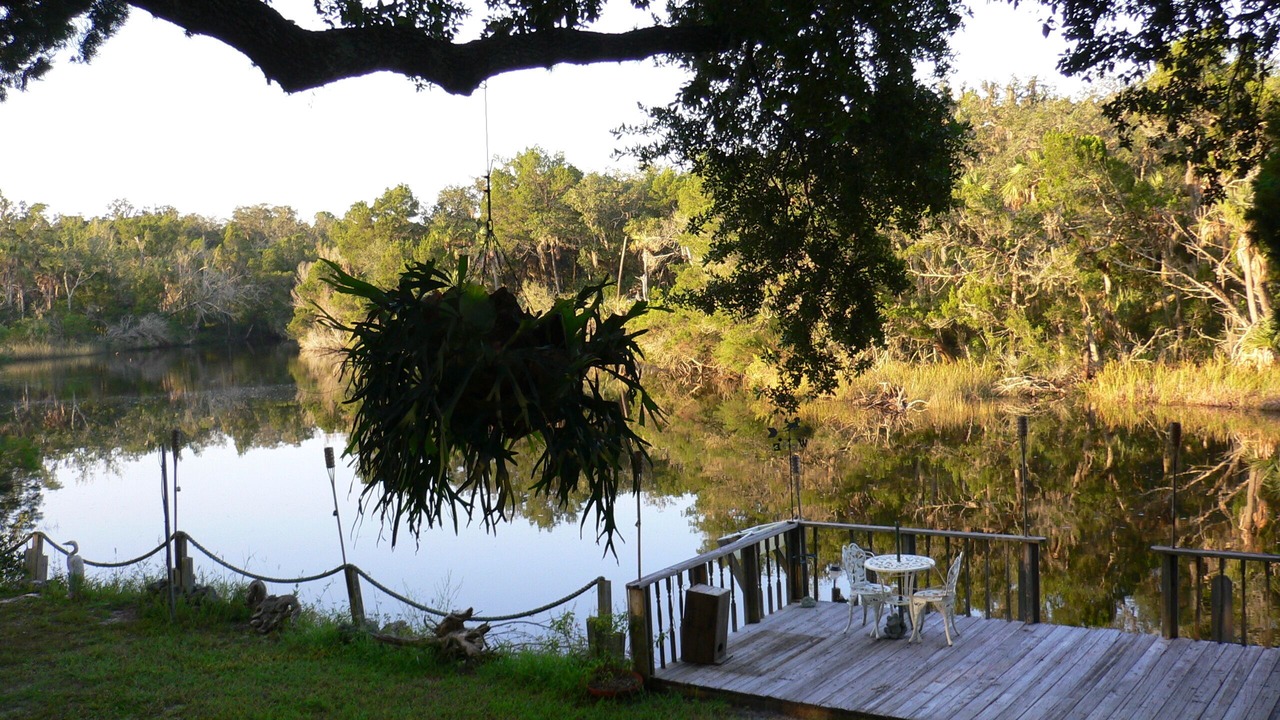 Photo of Others in Old Homosassa