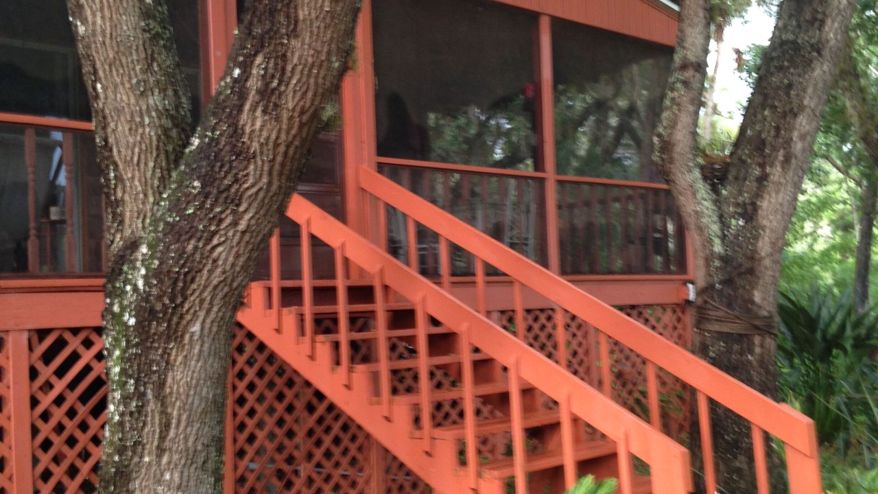 Photo of Outdoor in Old Homosassa