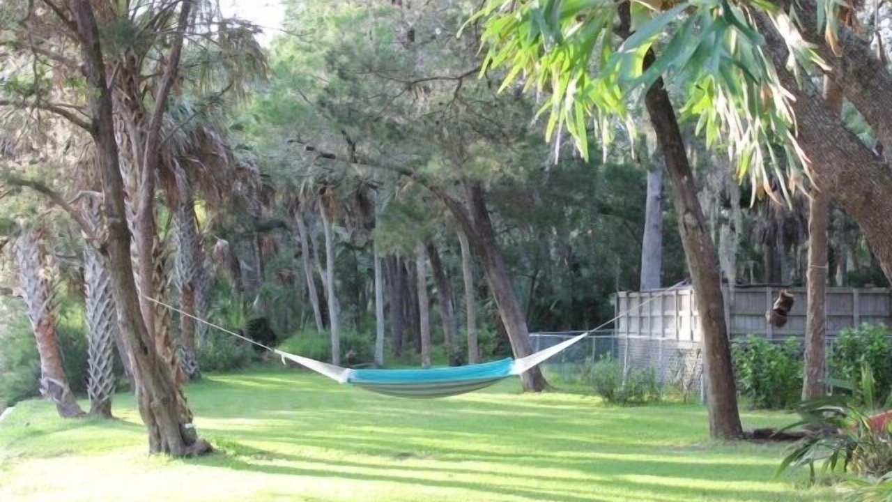Photo of Others in Old Homosassa