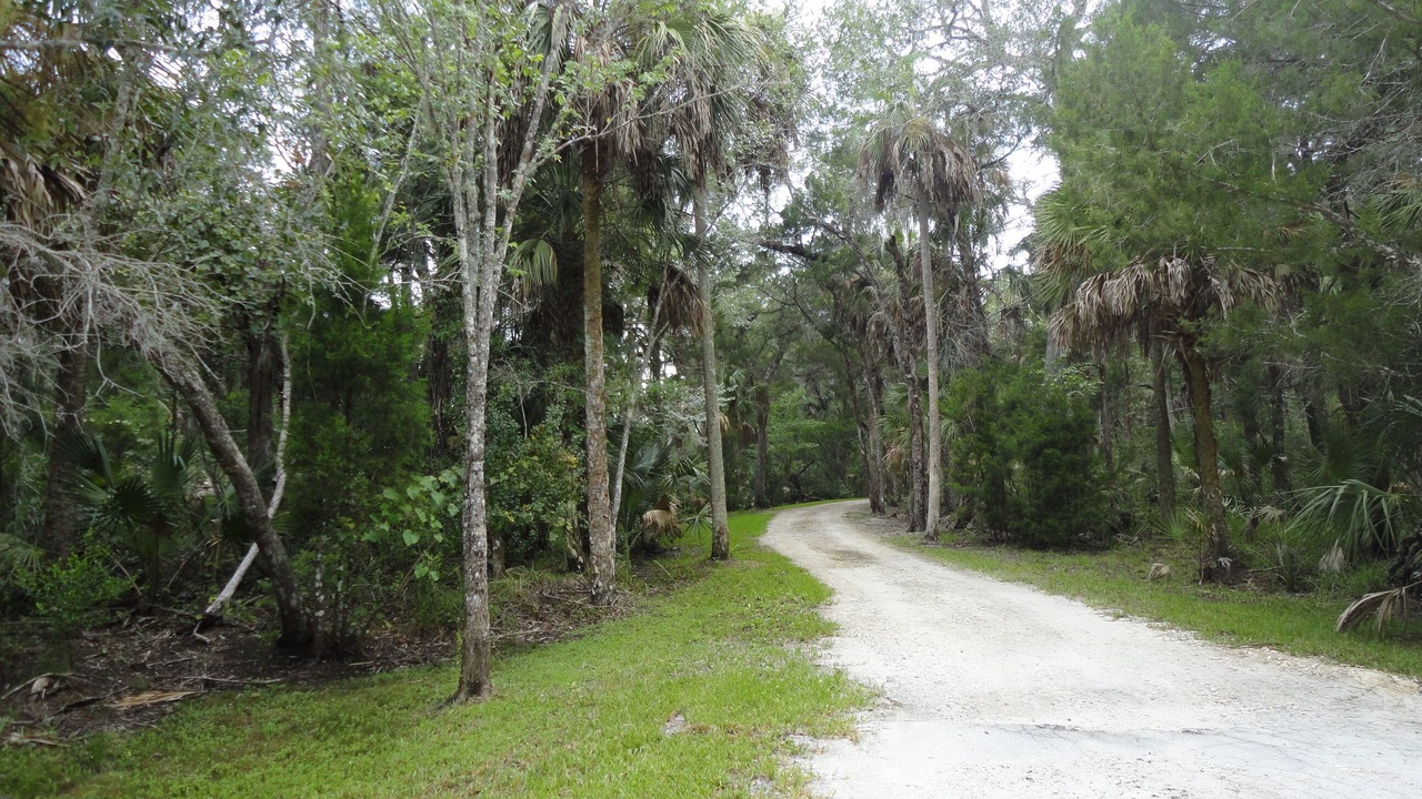 Photo of Others in Old Homosassa