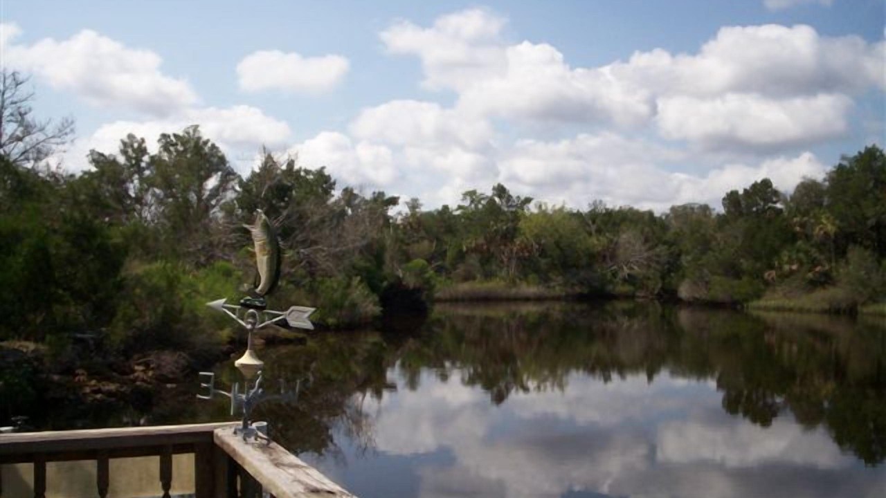 Photo of Others in Old Homosassa