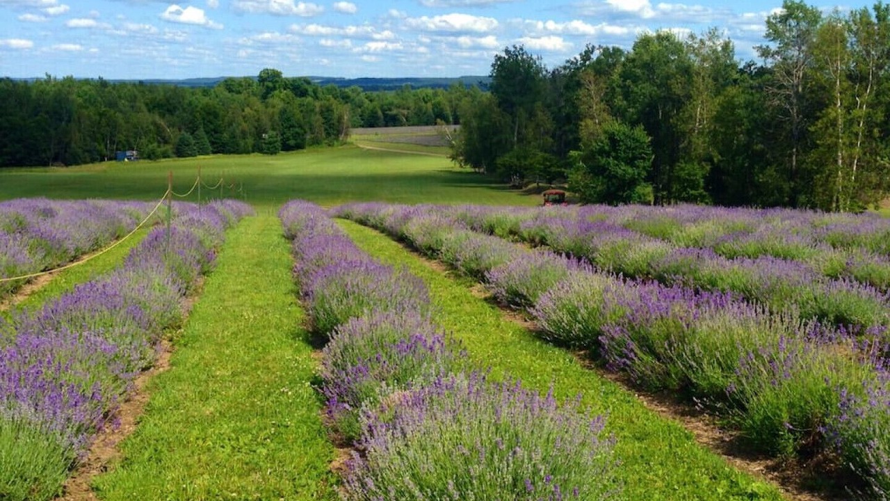 Photo of Outdoor in Magog