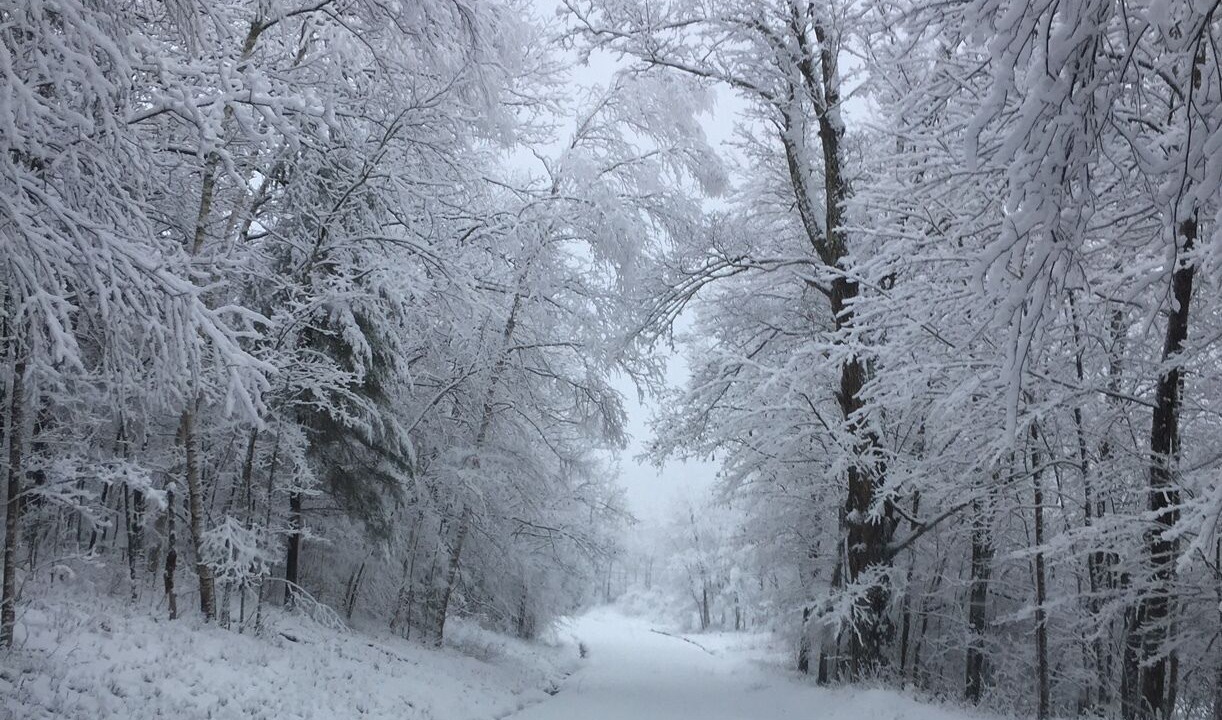 Photo of Others in Fleischmanns