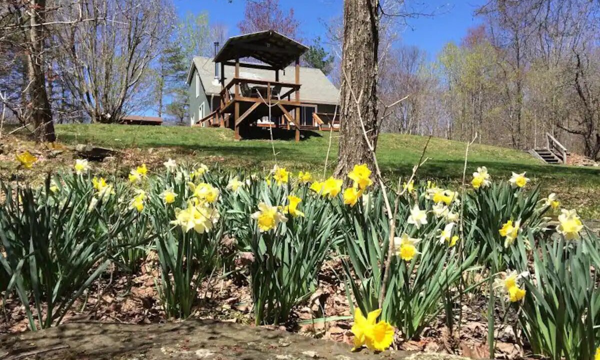 Photo of Others in Fleischmanns