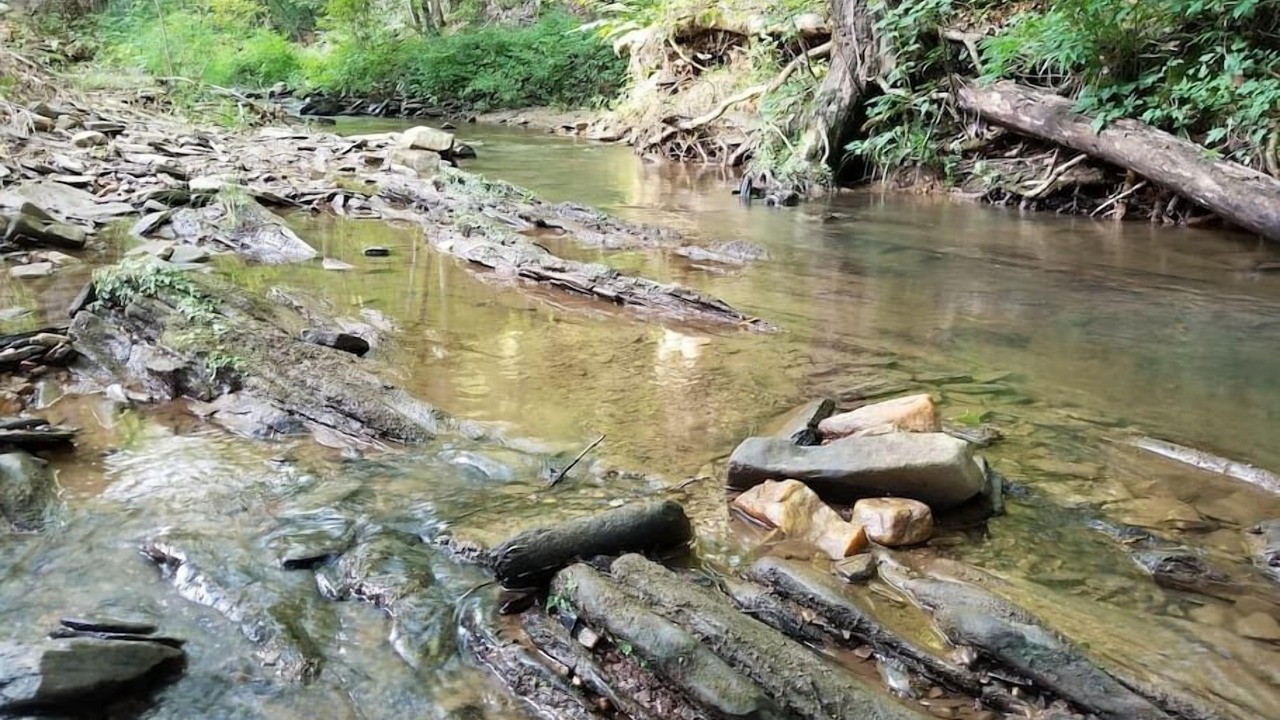Photo of Others in Tate