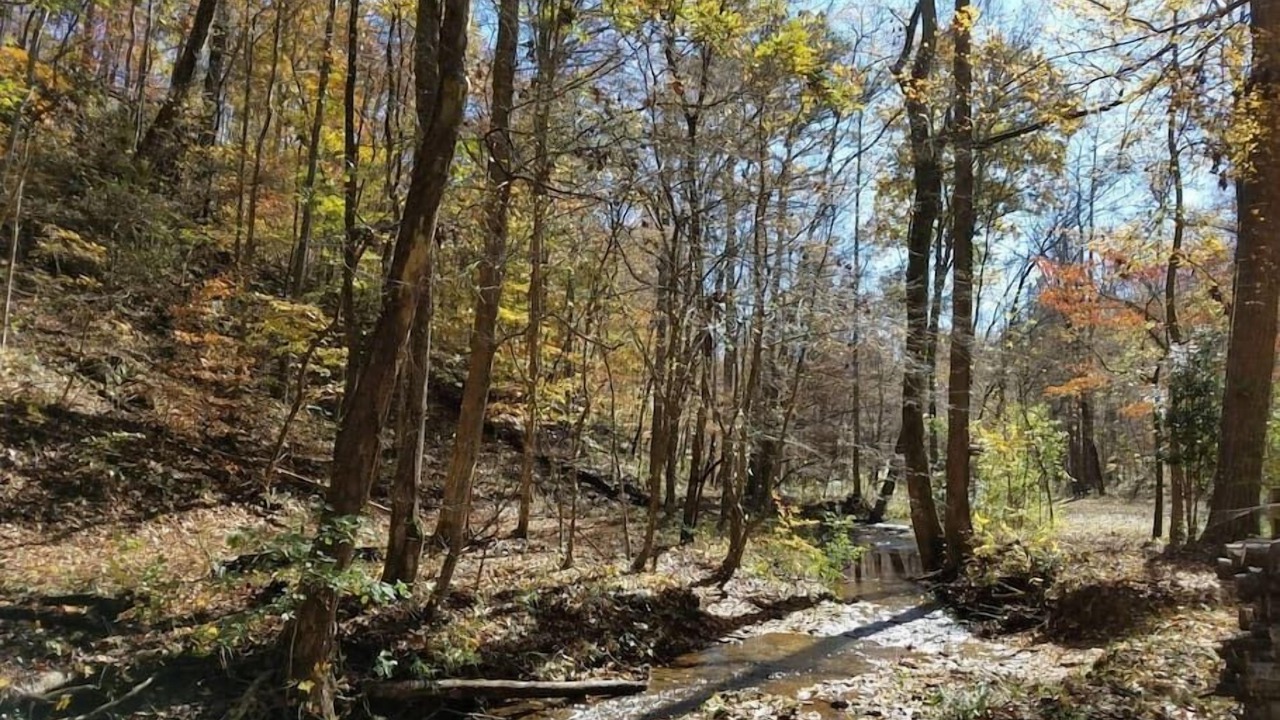 Photo of Others in Tate
