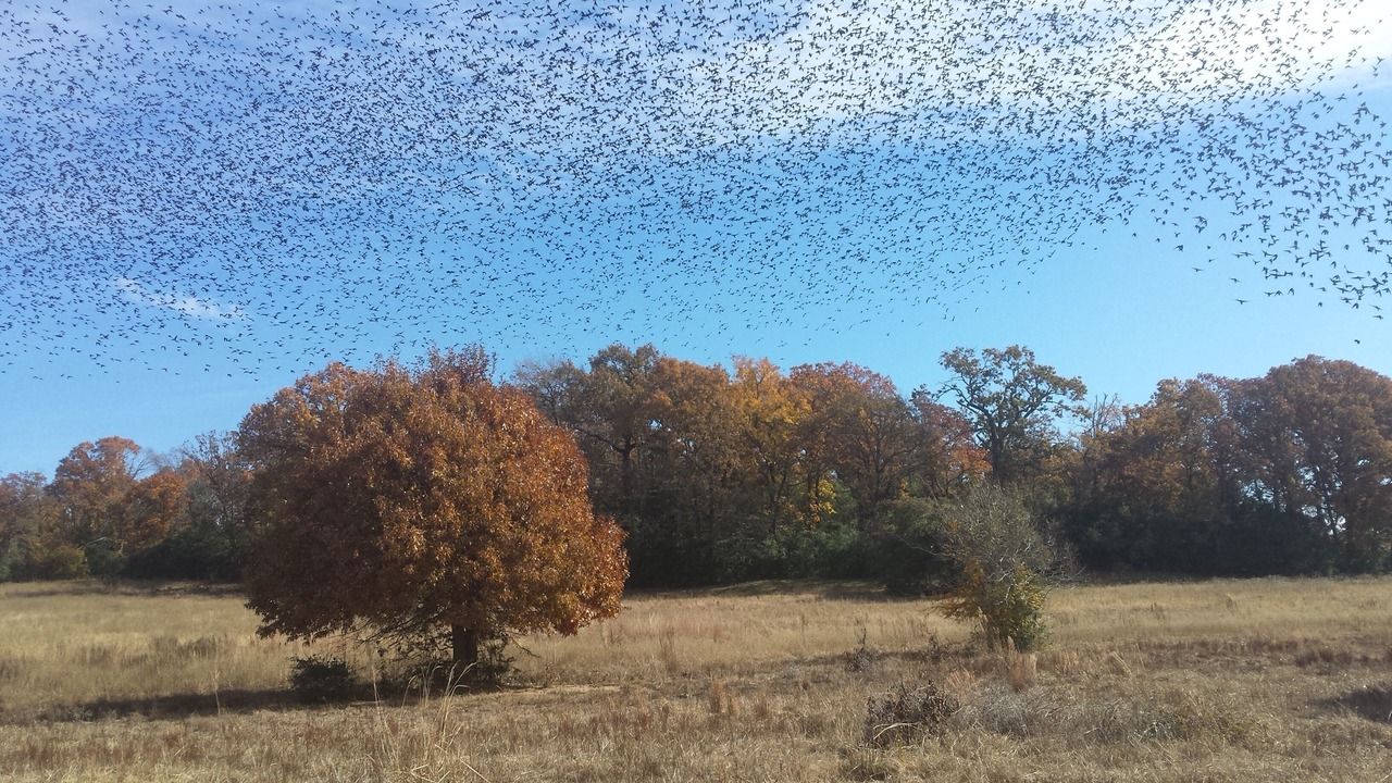 Photo of Outdoor in Buffalo