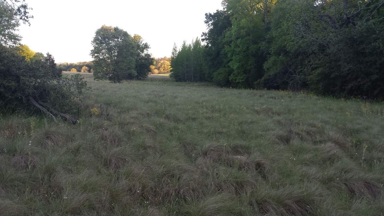 Photo of Outdoor in Buffalo