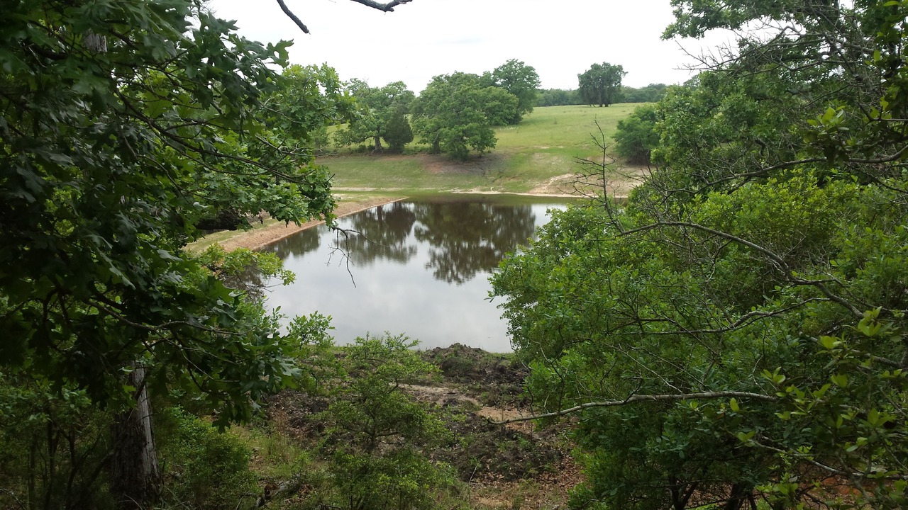 Photo of Outdoor in Buffalo
