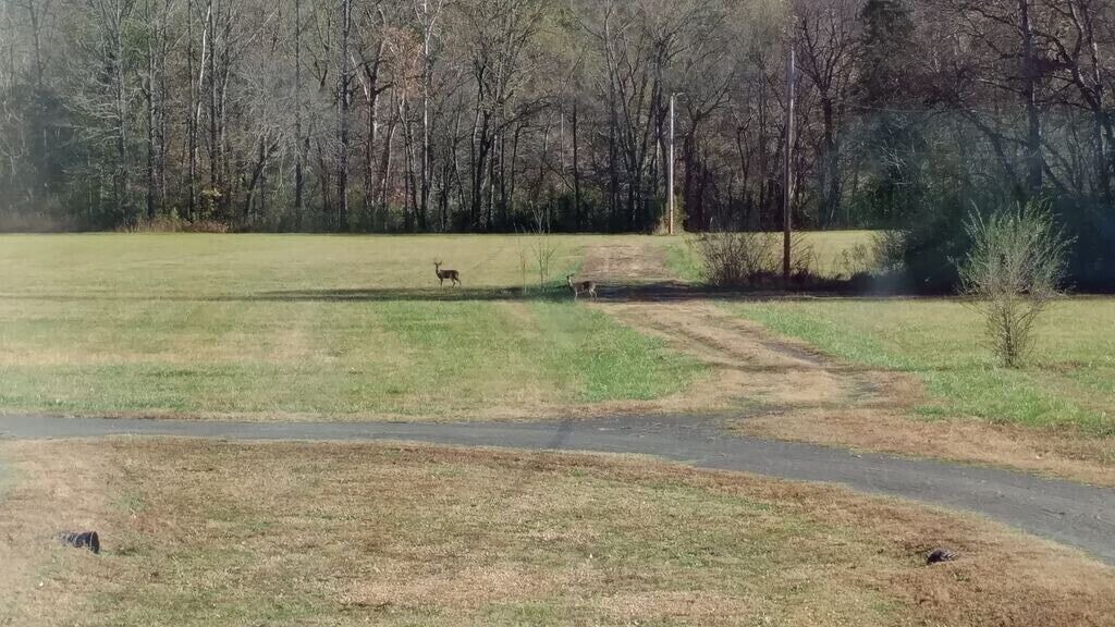 Photo of Others in Smithville
