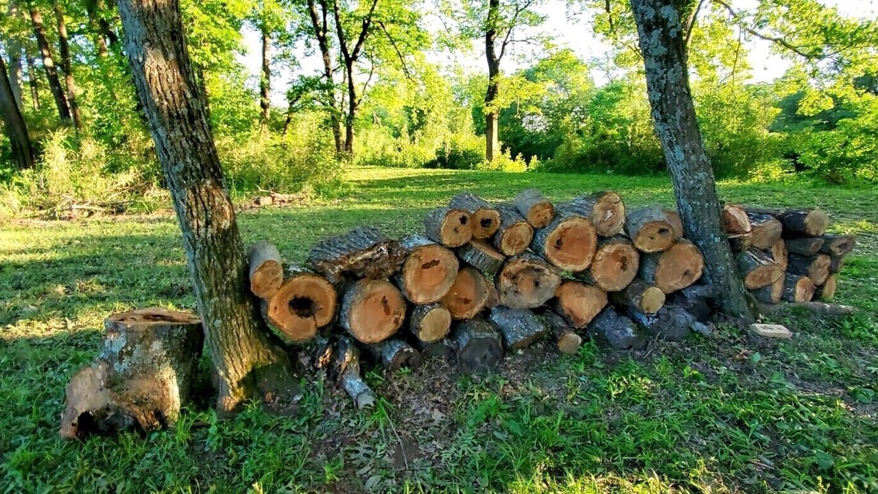 Photo of Outdoor in Smithville