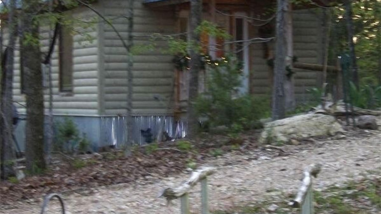 Photo of Others in Sylvan Shores