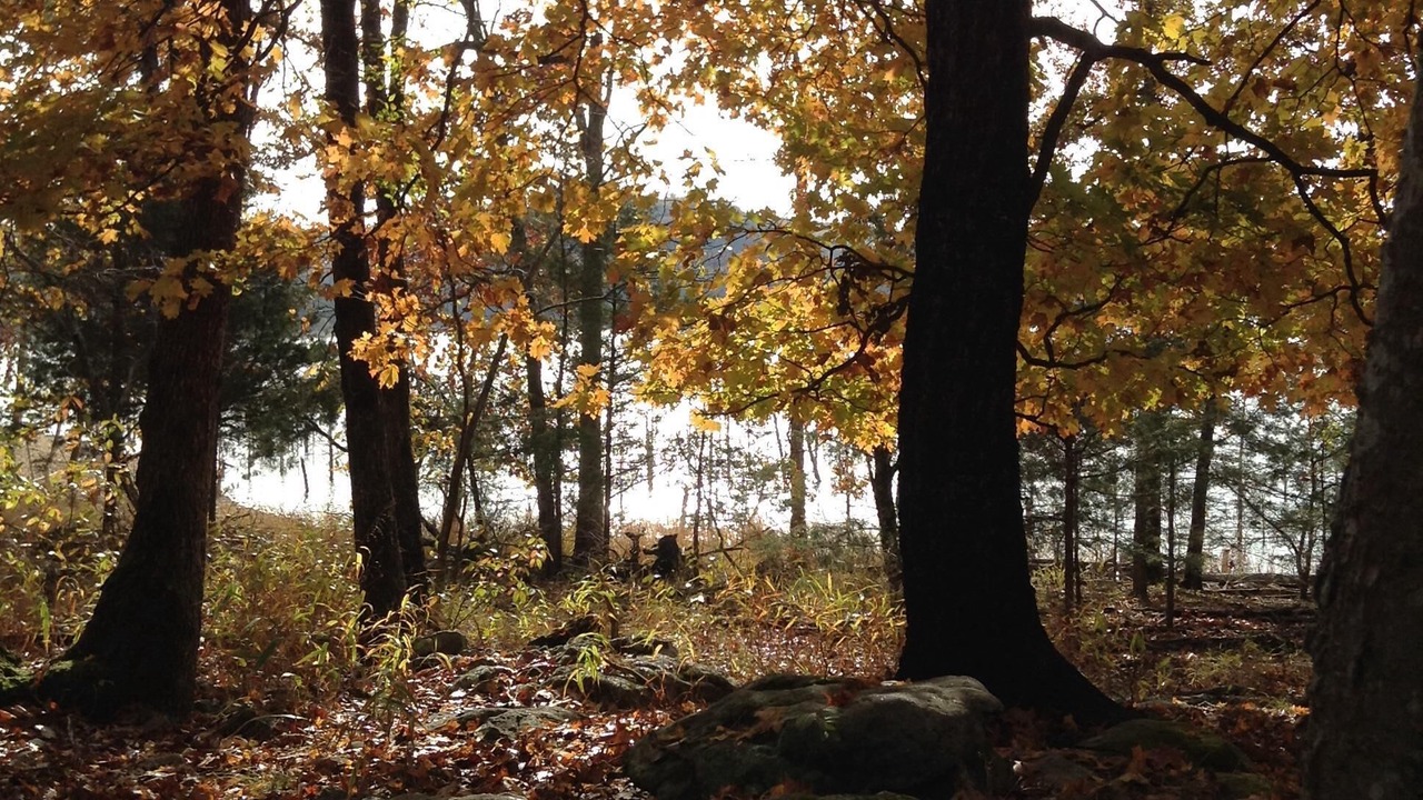 Photo of Outdoor in Sylvan Shores