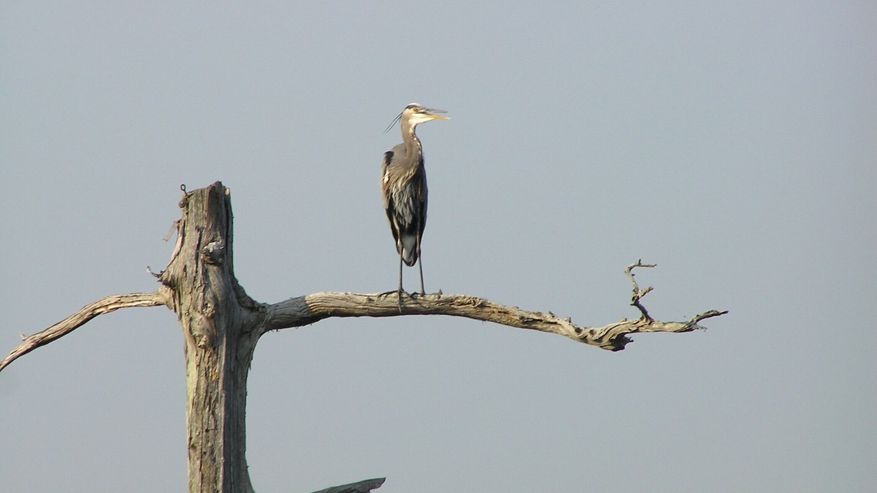 Photo of Others in Pinetown
