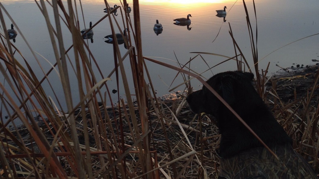Photo of Outdoor in Hankinson