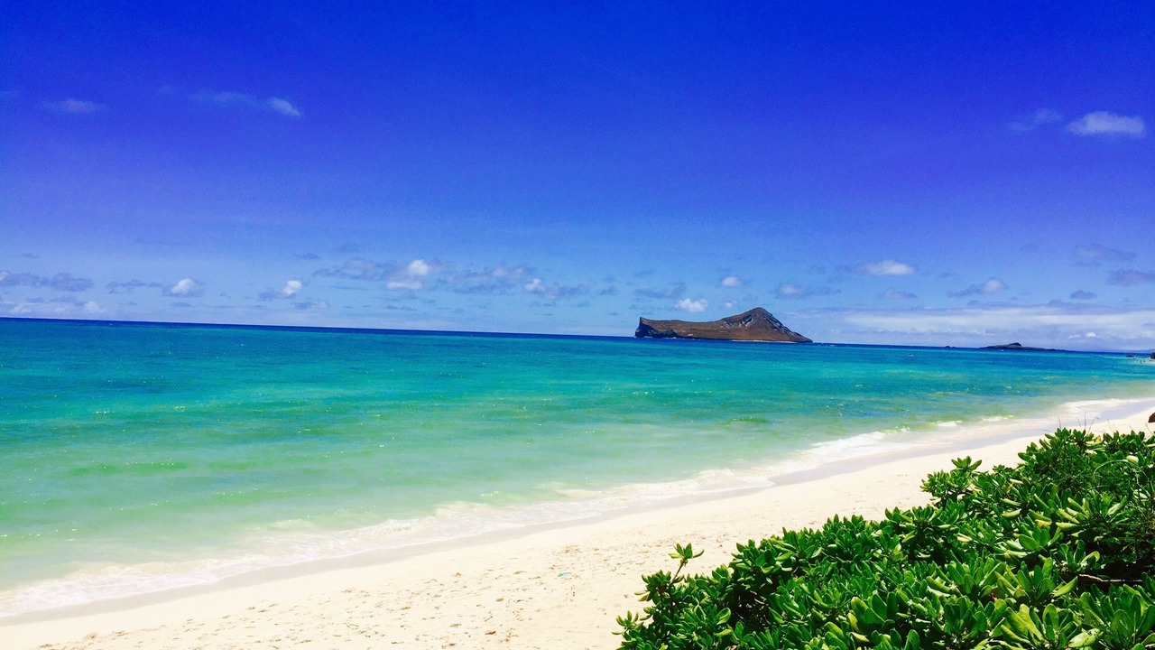 Photo of Others in Kailua