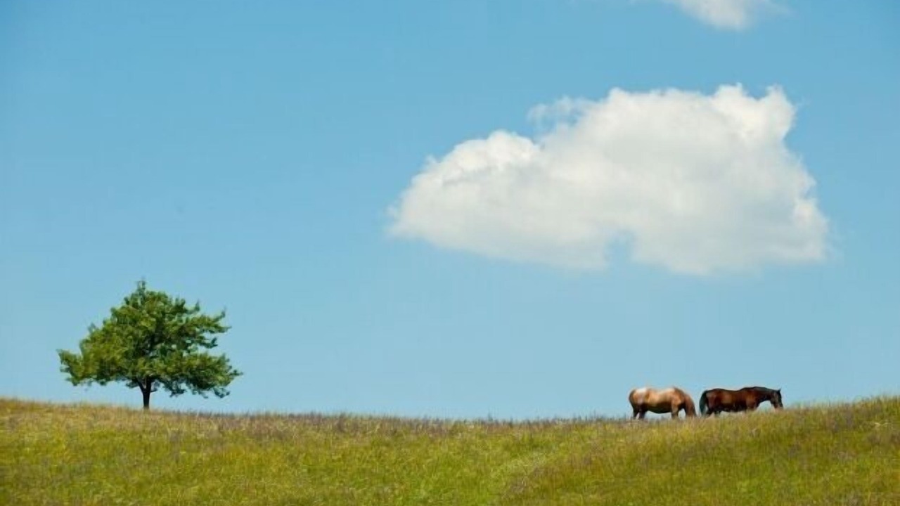 Photo of Outdoor in Sarroqueta