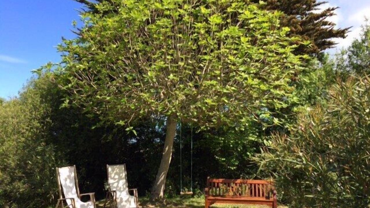 Photo of Outdoor in Ile d'Yeu