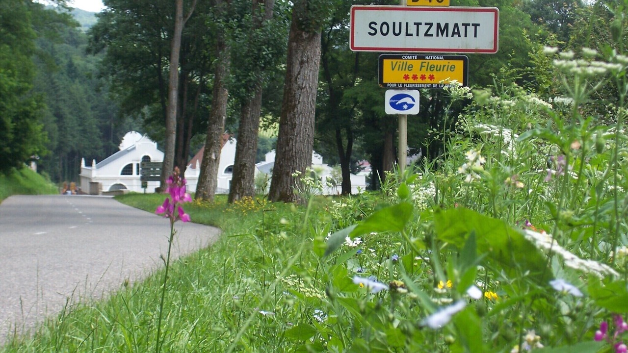 Photo of Outdoor in Soultzmatt