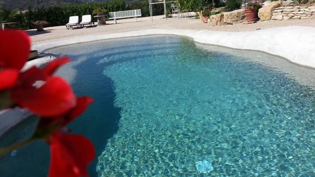 Photo of Outdoor in Pomas