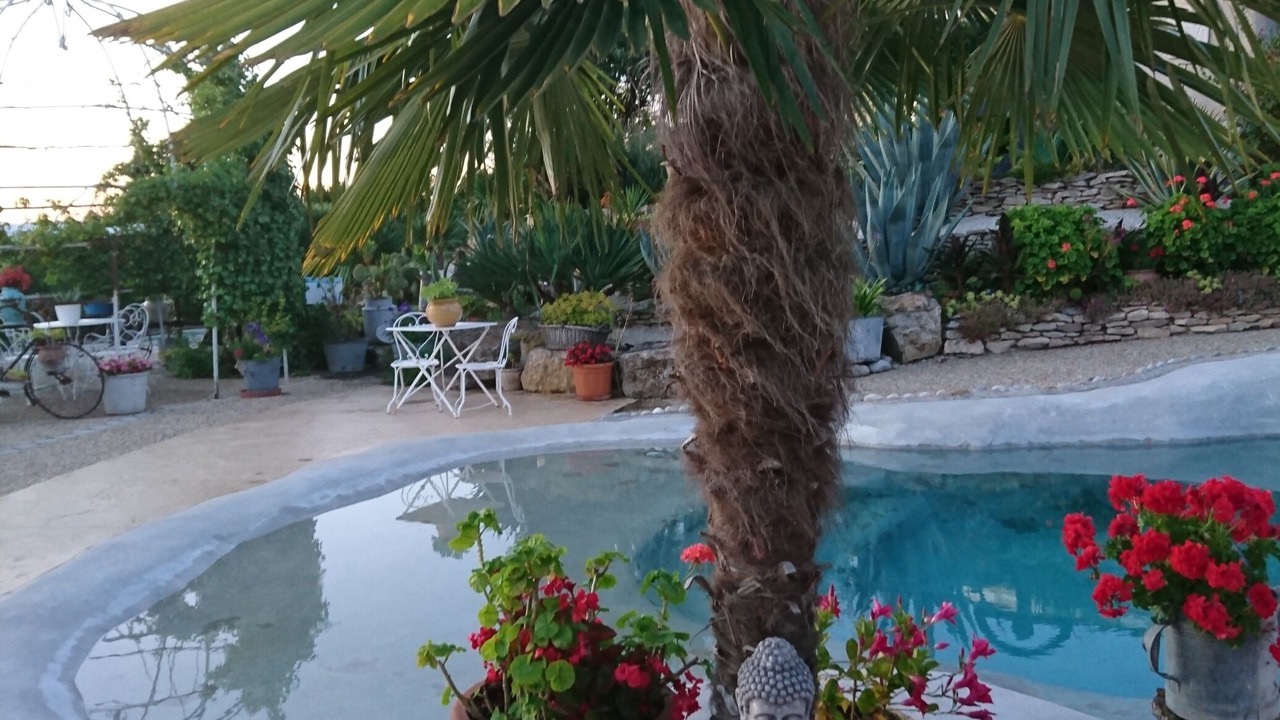 Photo of Outdoor in Pomas