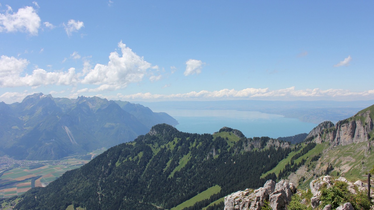 Photo of Others in Leysin