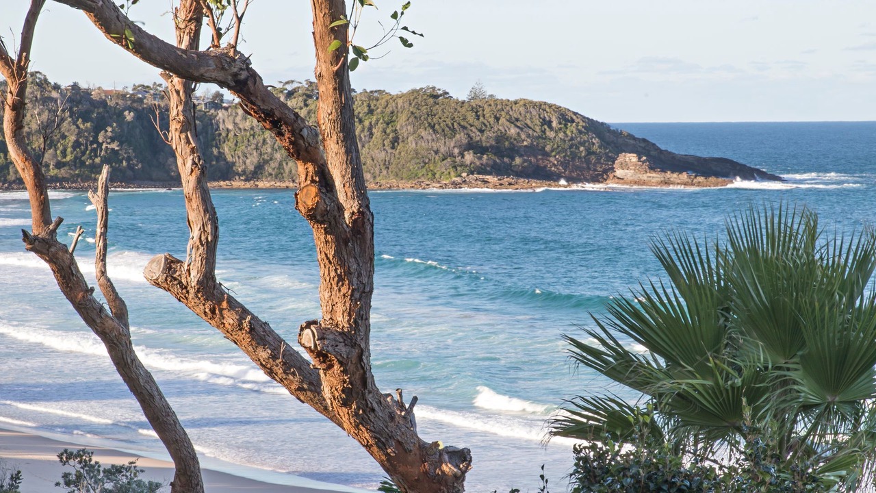 Photo of Others in Mollymook Beach