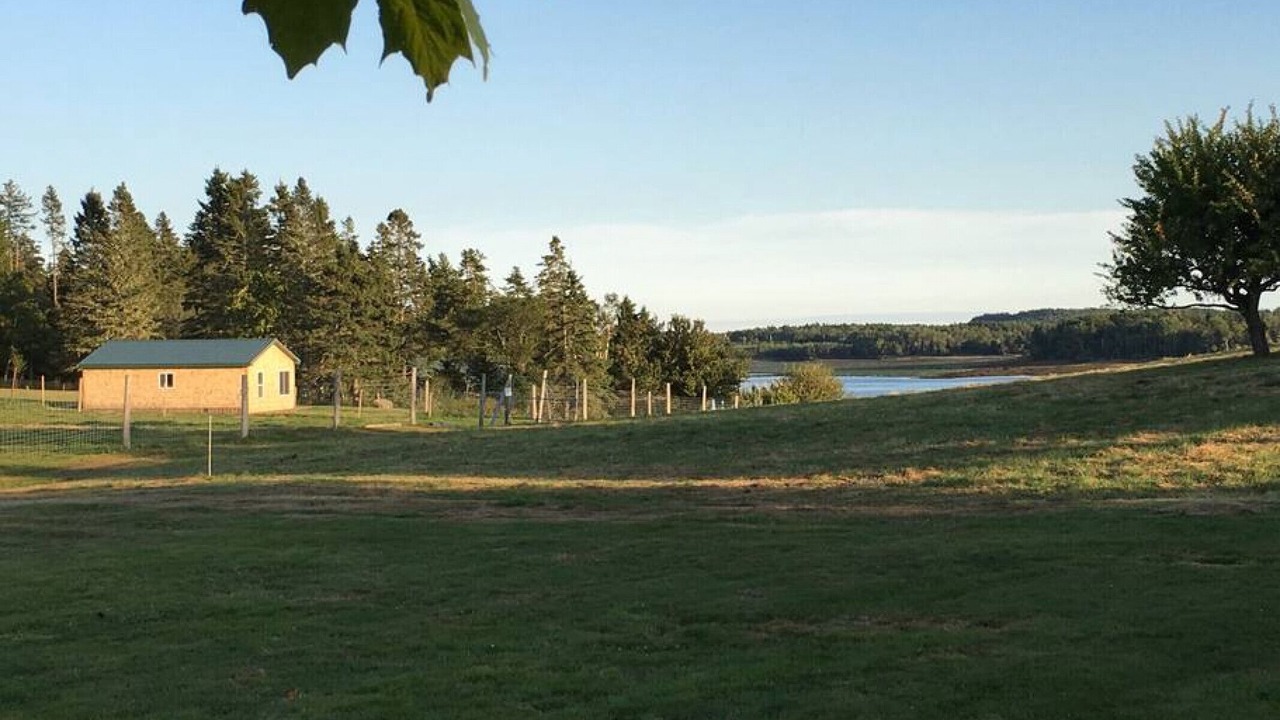 Photo of Outdoor in Eastport