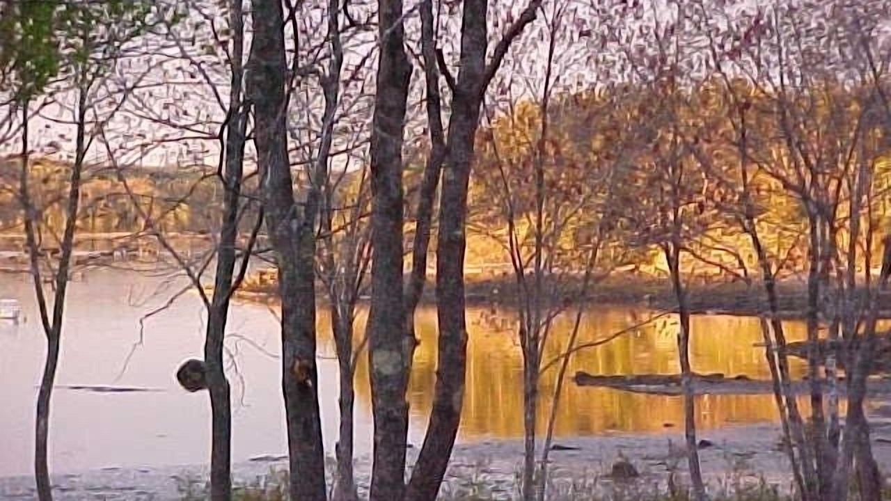 Photo of Others in Deer Isle