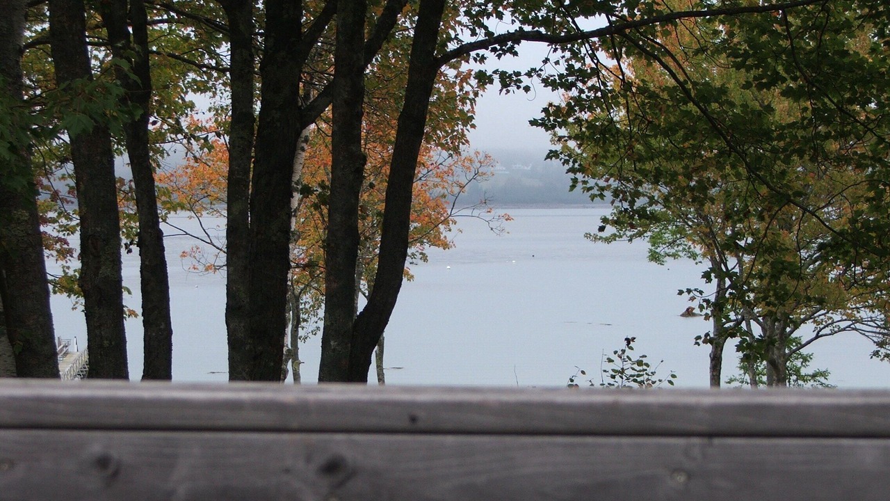 Photo of Others in Deer Isle