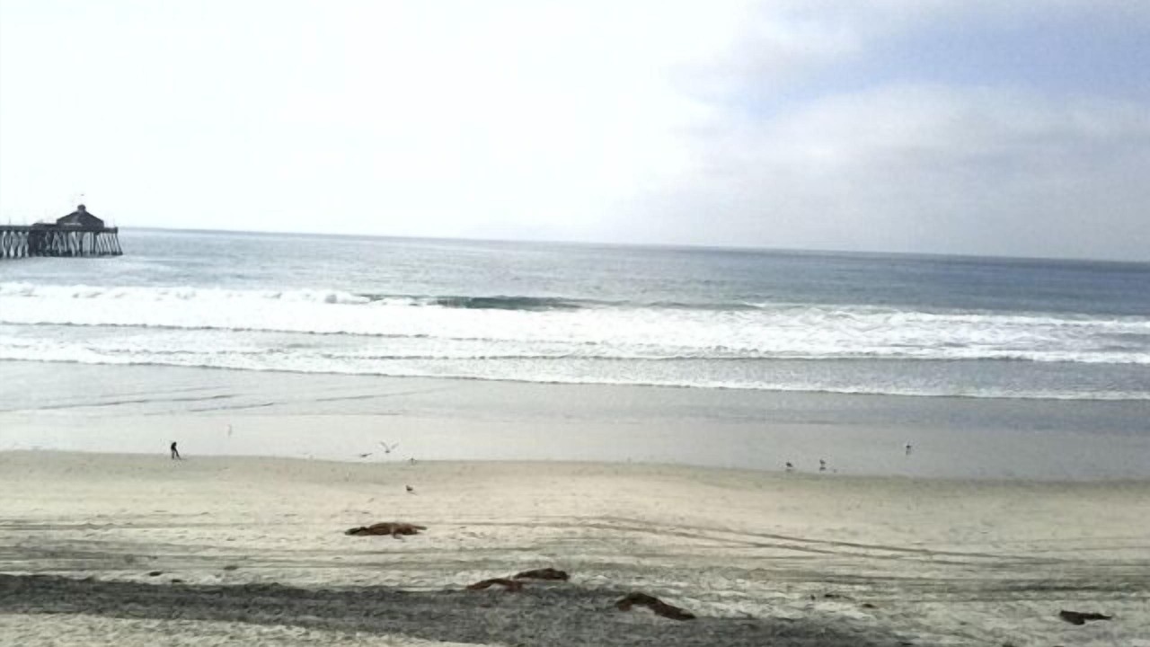 Photo of Others in Imperial Beach