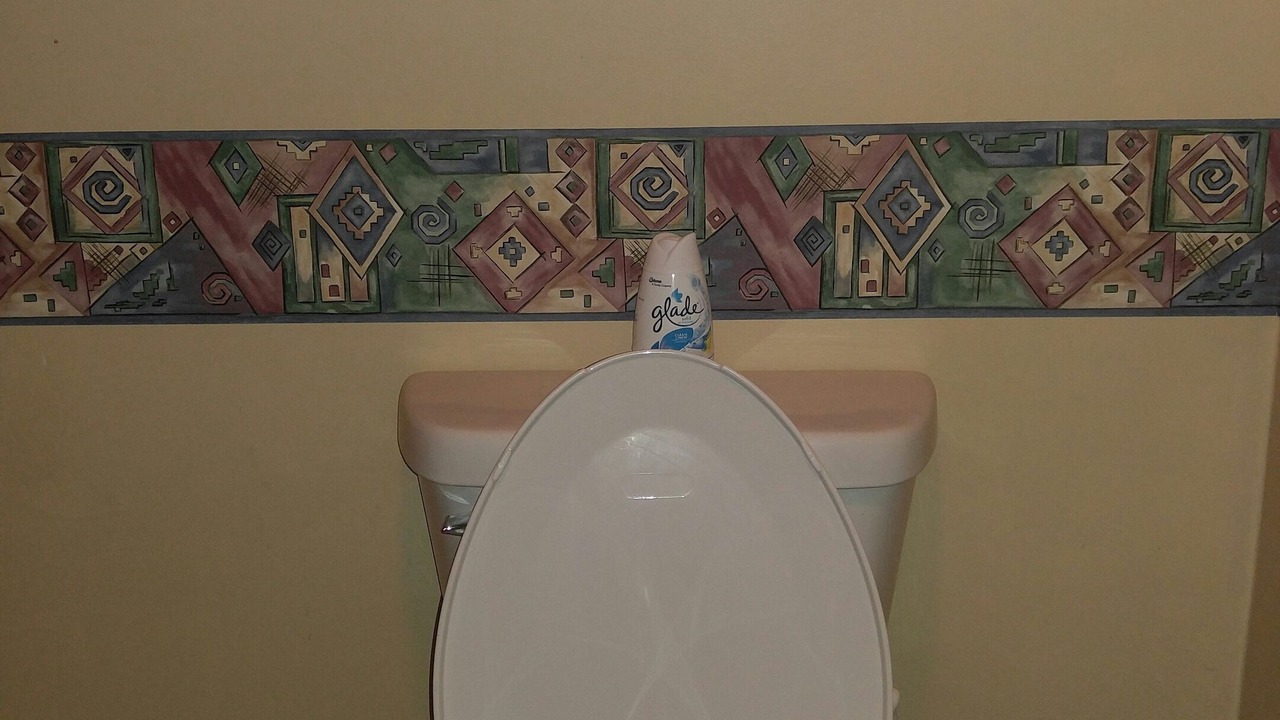 Photo of Bathroom in Benton Harbor