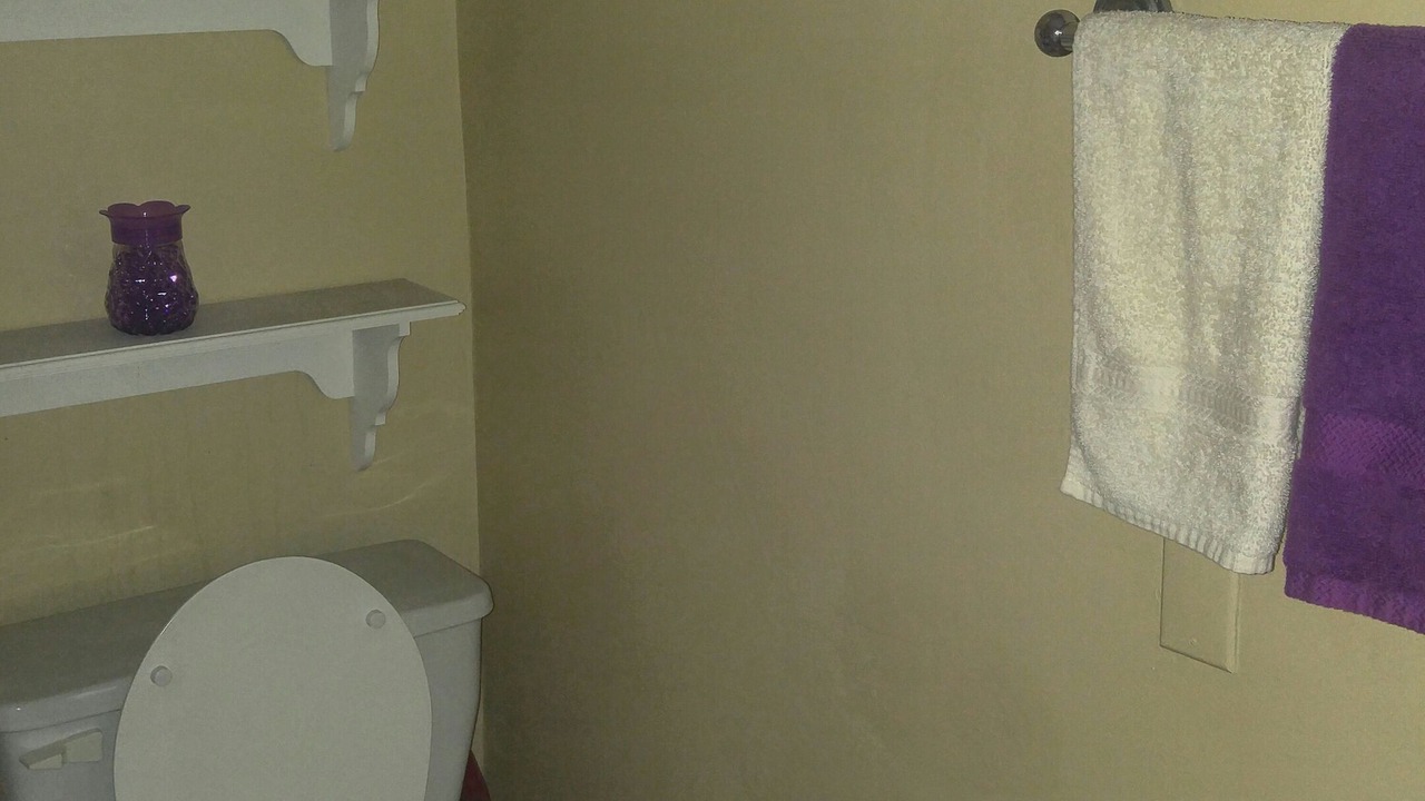 Photo of Bathroom in Benton Harbor