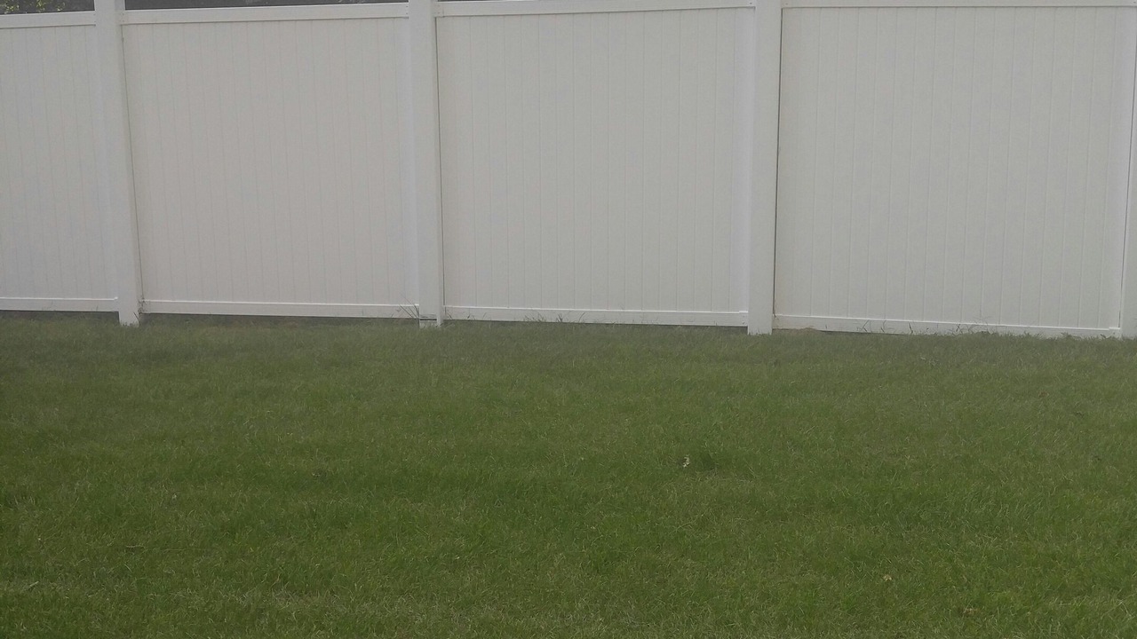 Photo of Outdoor in Benton Harbor