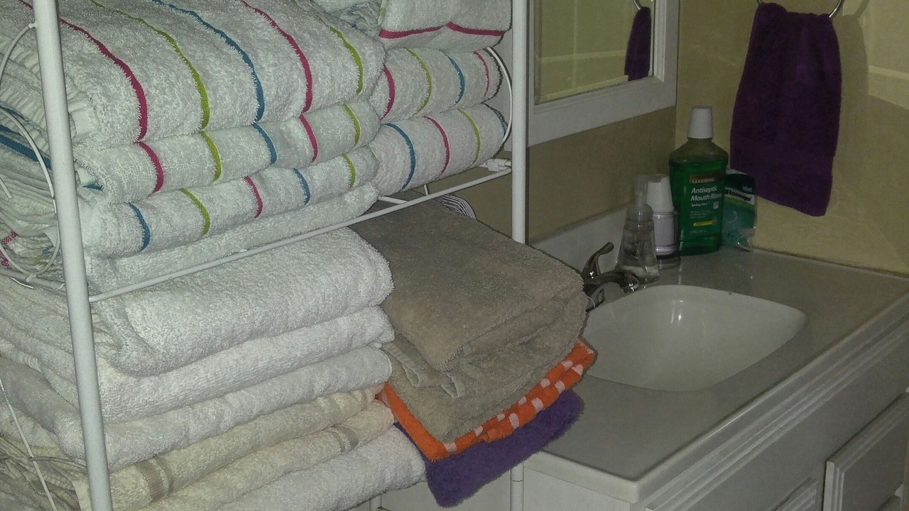 Photo of Bathroom in Benton Harbor