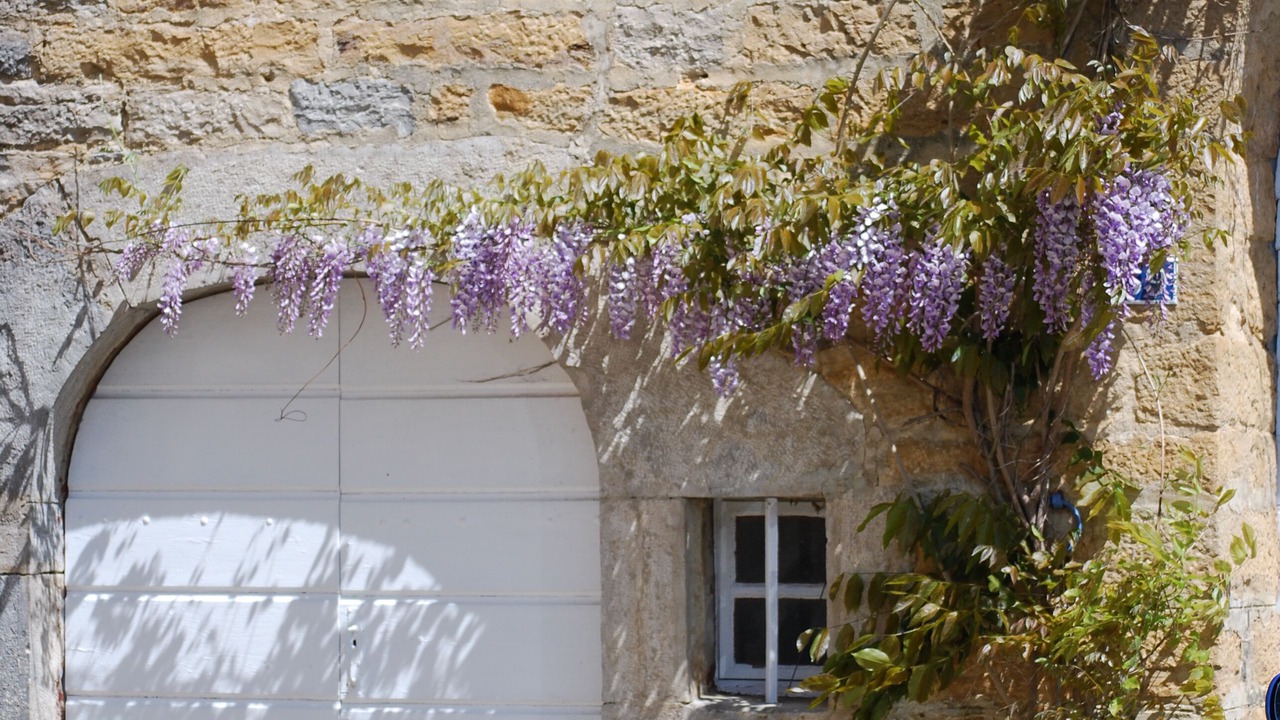 Photo of Outdoor in Frontenay