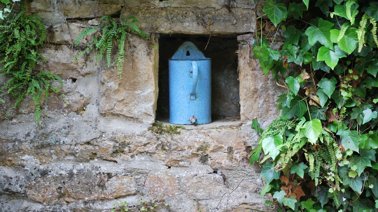 Photo of Outdoor in Frontenay