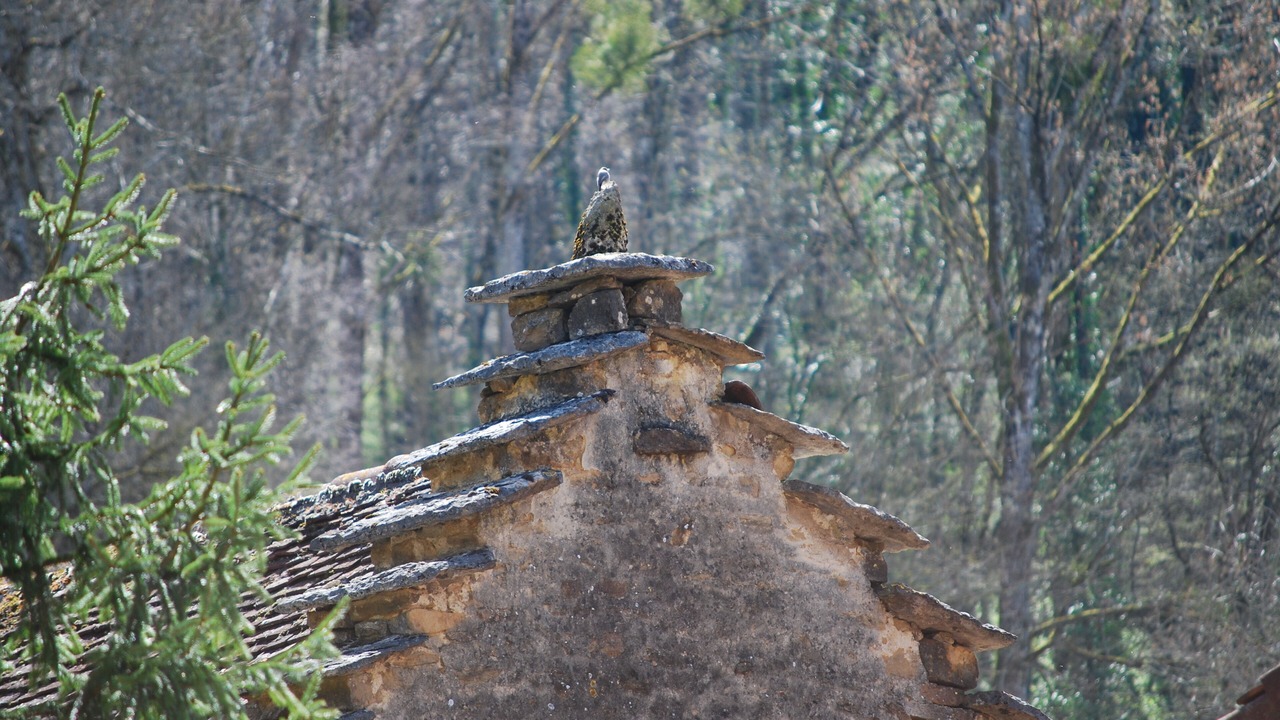 Photo of Outdoor in Frontenay