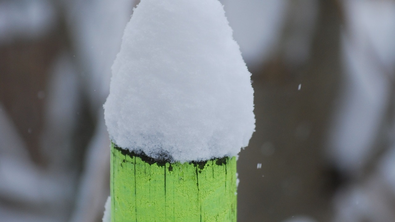 Photo of Others in Frontenay