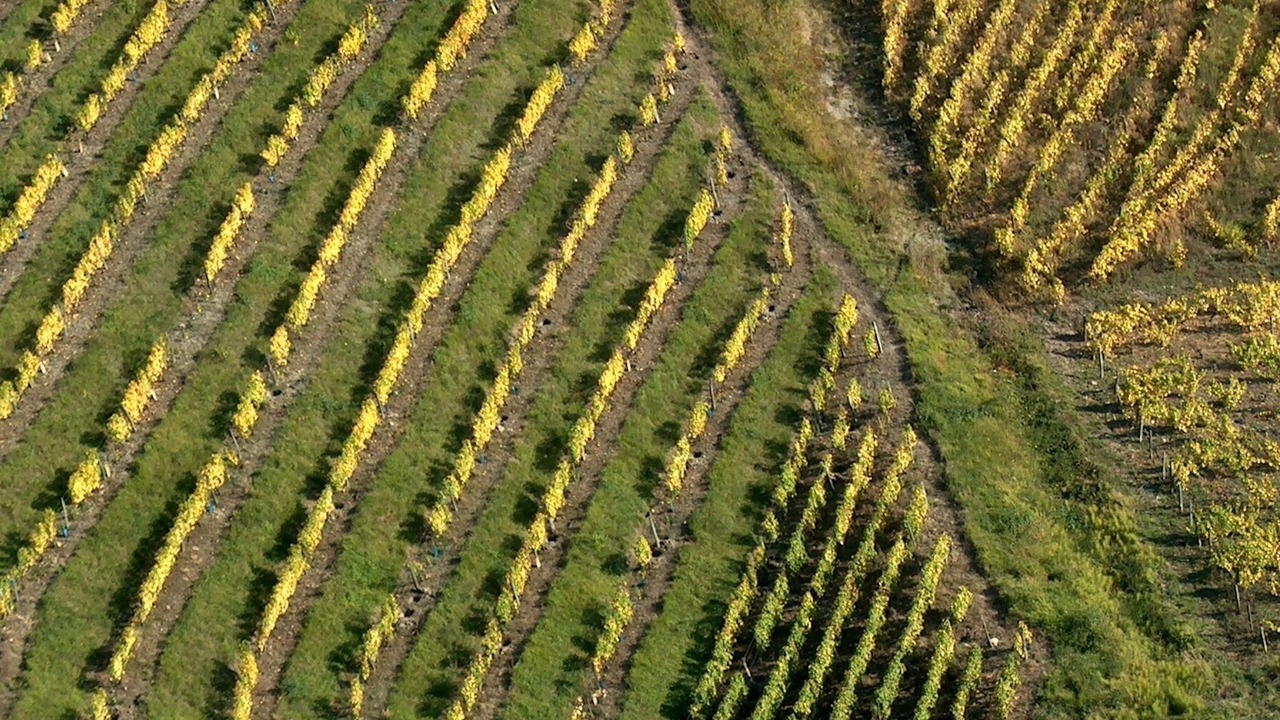 Photo of Outdoor in Frontenay