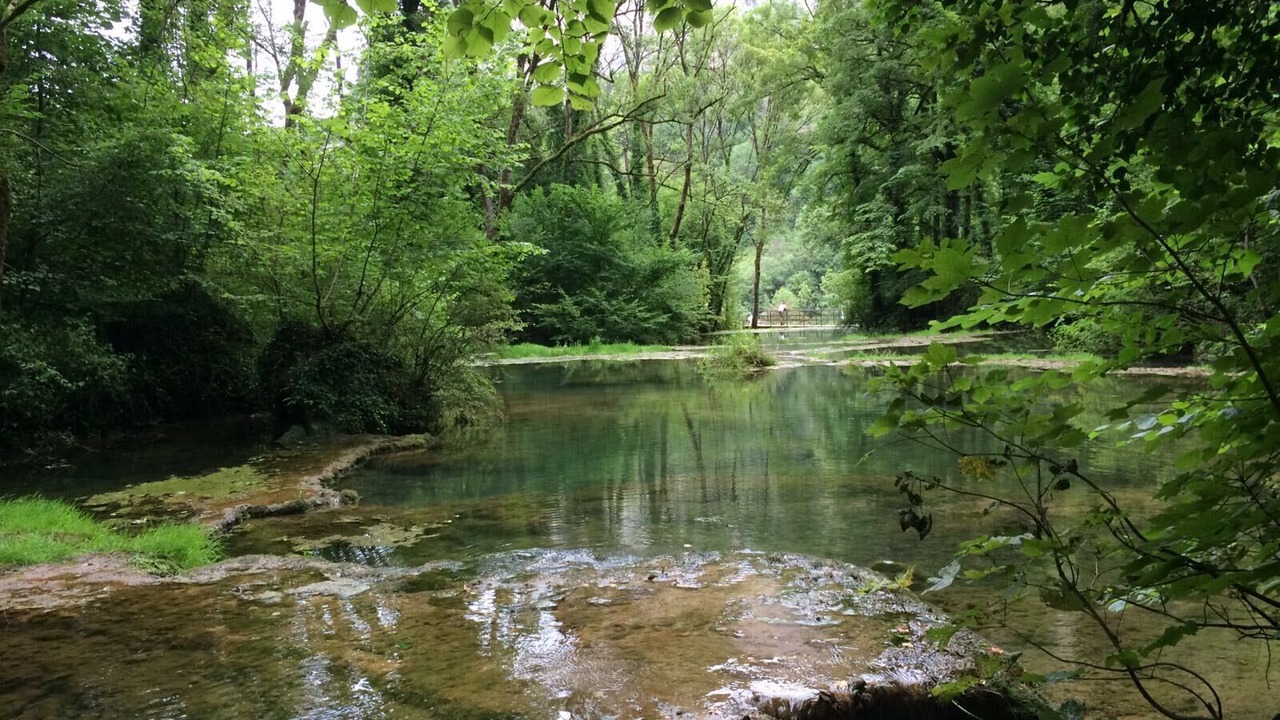 Photo of Outdoor in Frontenay