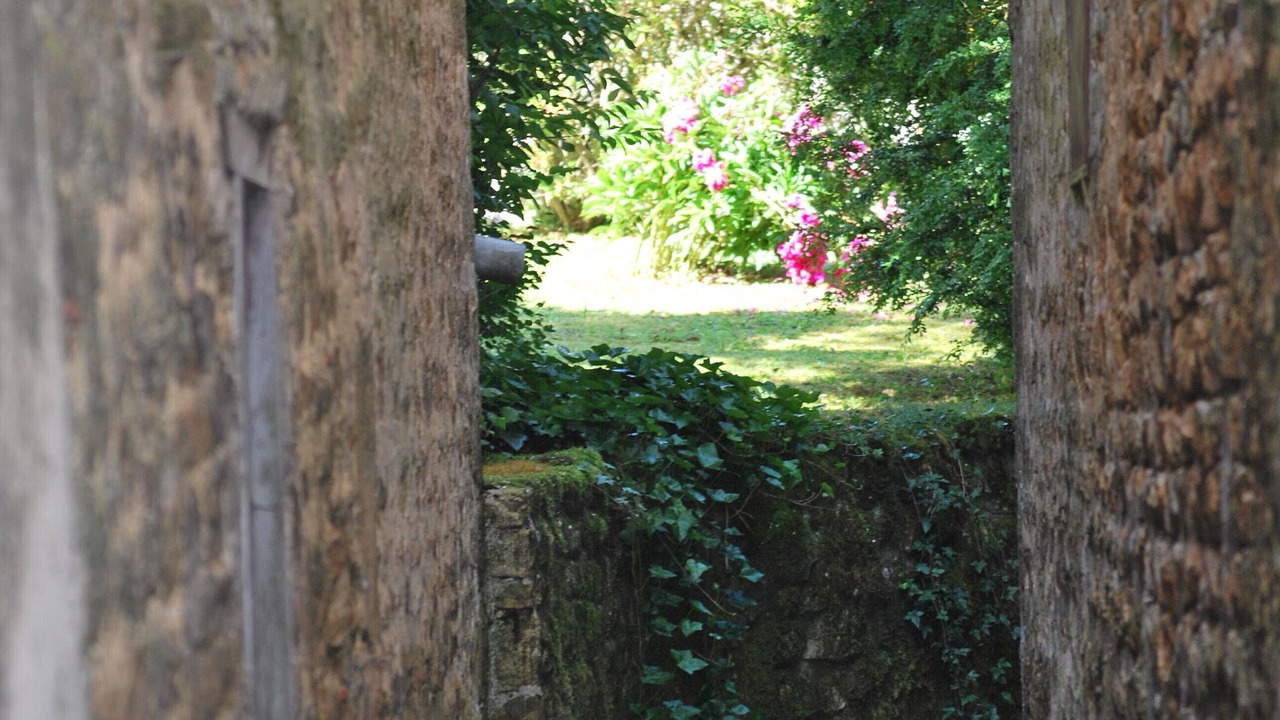 Photo of Others in Frontenay