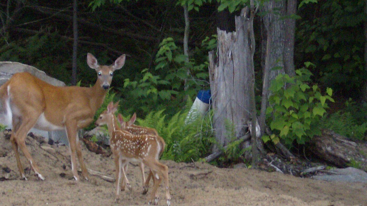 Photo of Outdoor in Town of Webb