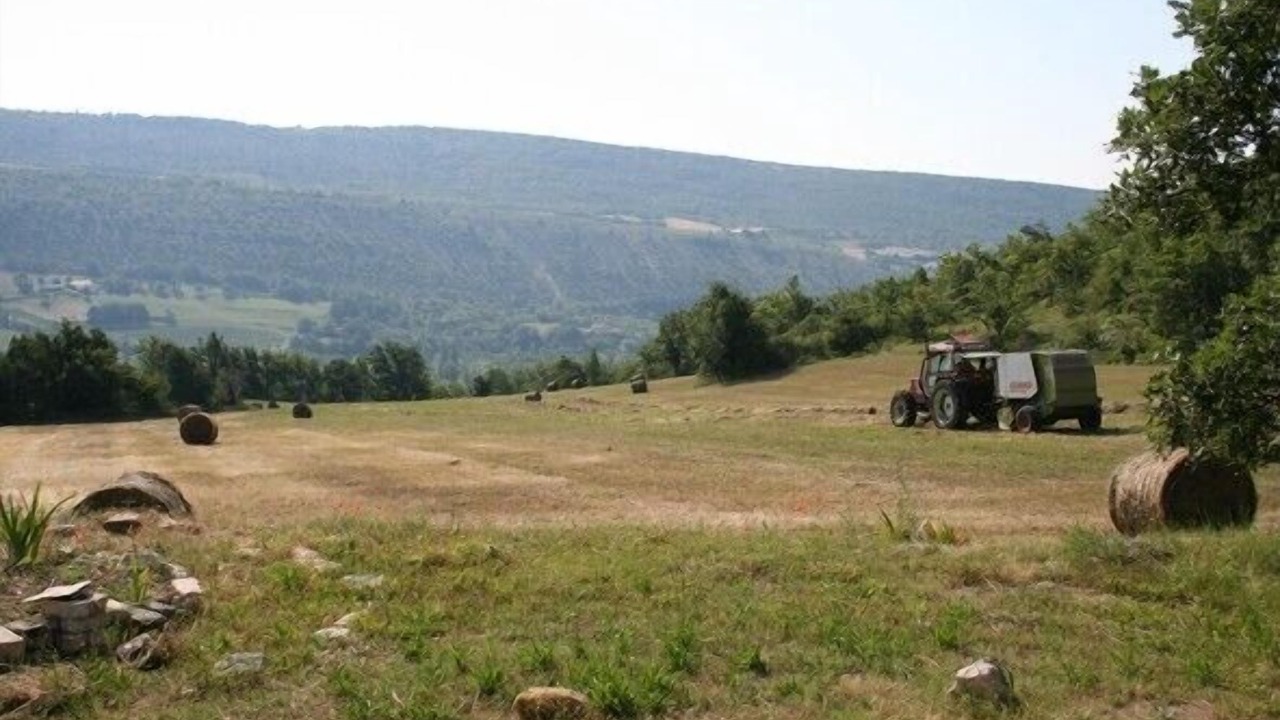 Photo of Outdoor in Revest-des-Brousses