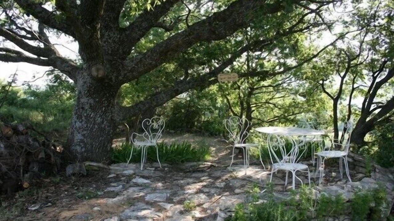 Photo of Outdoor in Revest-des-Brousses