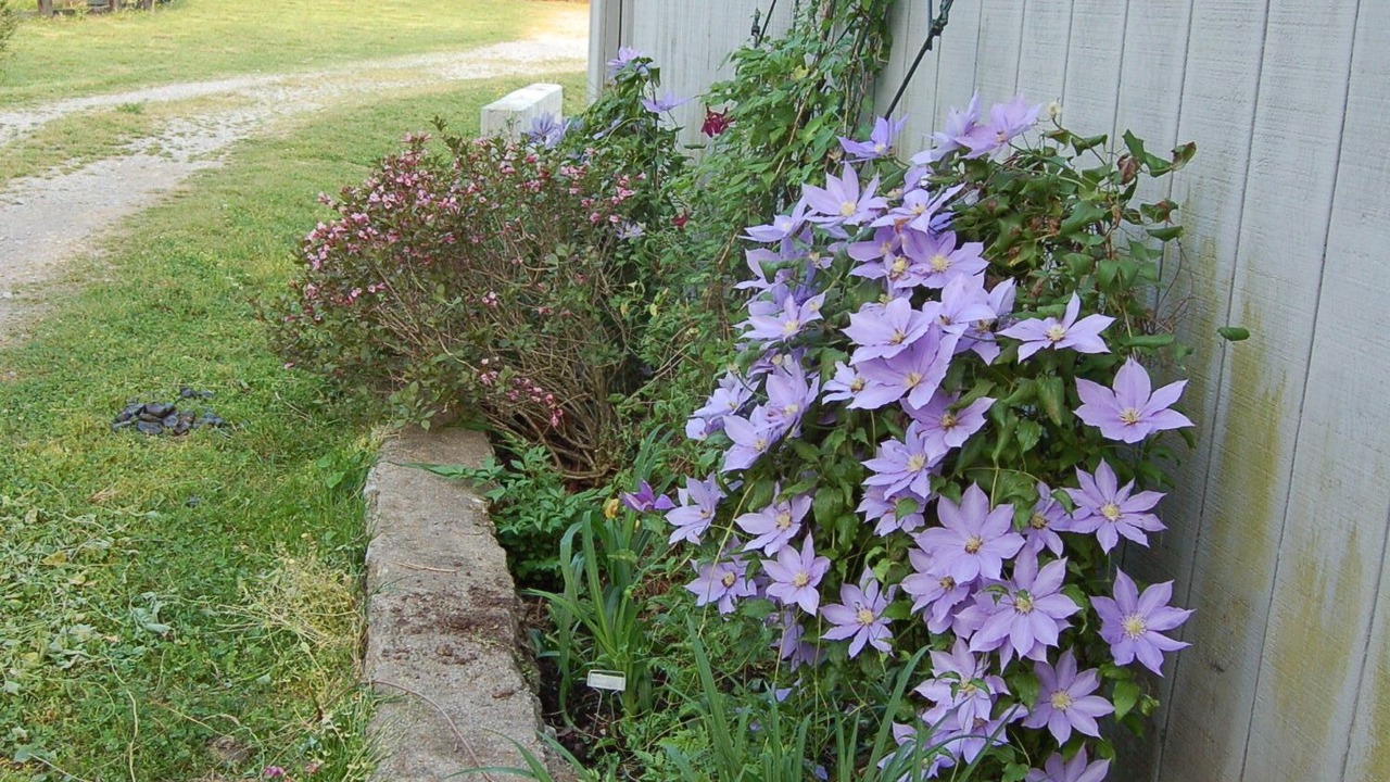 Photo of Outdoor in Kedron